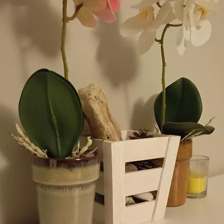 μοντέρνο - Stylish Apartment