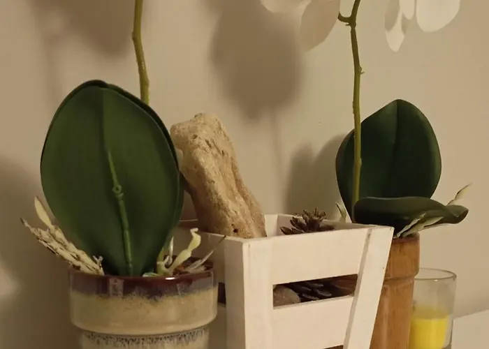 μοντέρνο - Stylish Apartament